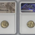 Mysia, Cyzicus EL Stater Lion Tunny NGC AU